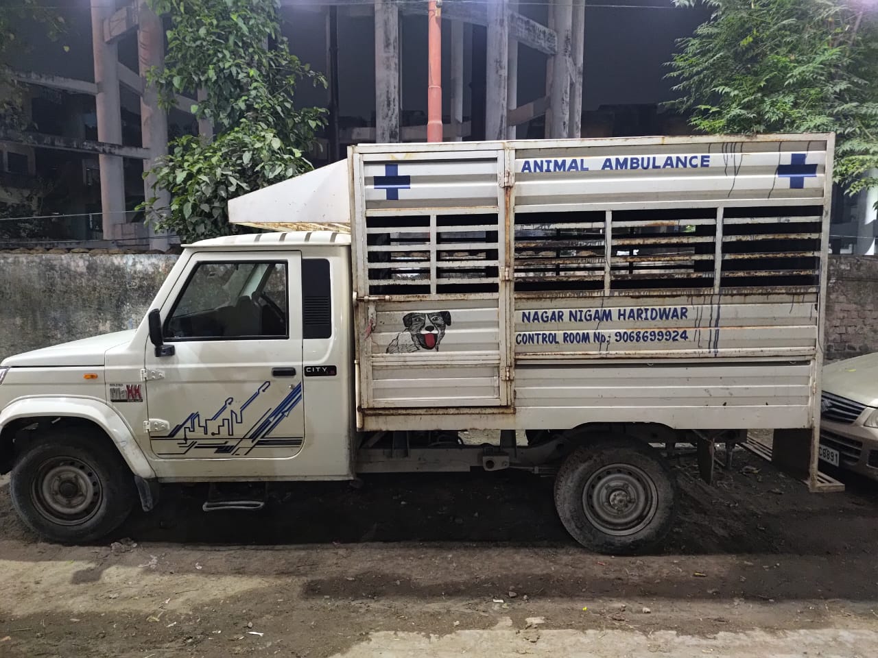 नगर निगम हरिद्वार ने कुत्तों से जुड़ी शिकायतों के लिए जारी की हेल्पलाइन —9568844151