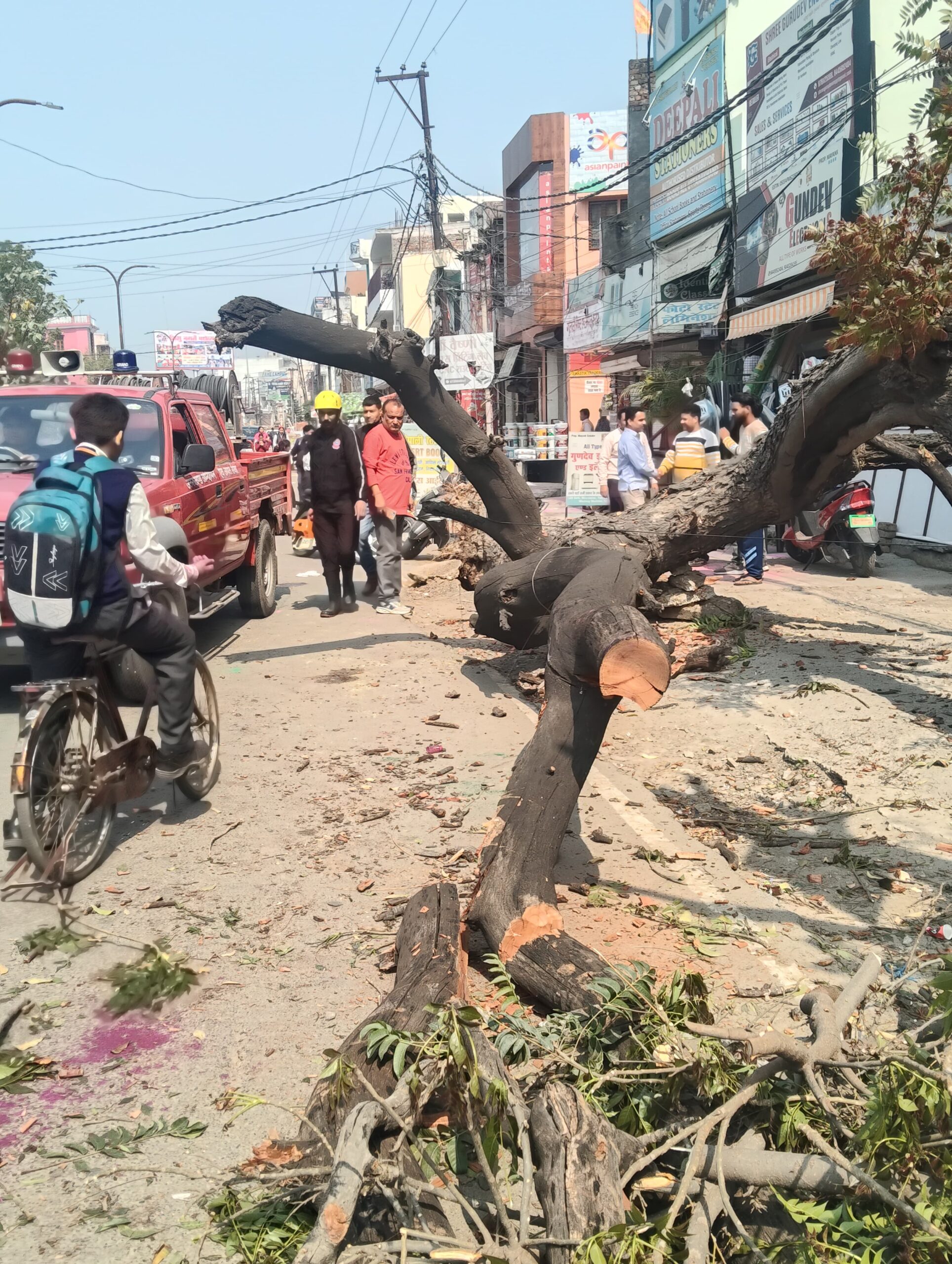 समय 12:50 पर मालवीय चौक निकट गणेशपुर कोतवाली गंगनहर सड़क पर पेड़ गिरने की सुचना पर फायर यूनिट तत्काल घटनास्थल पर पहुंच कर