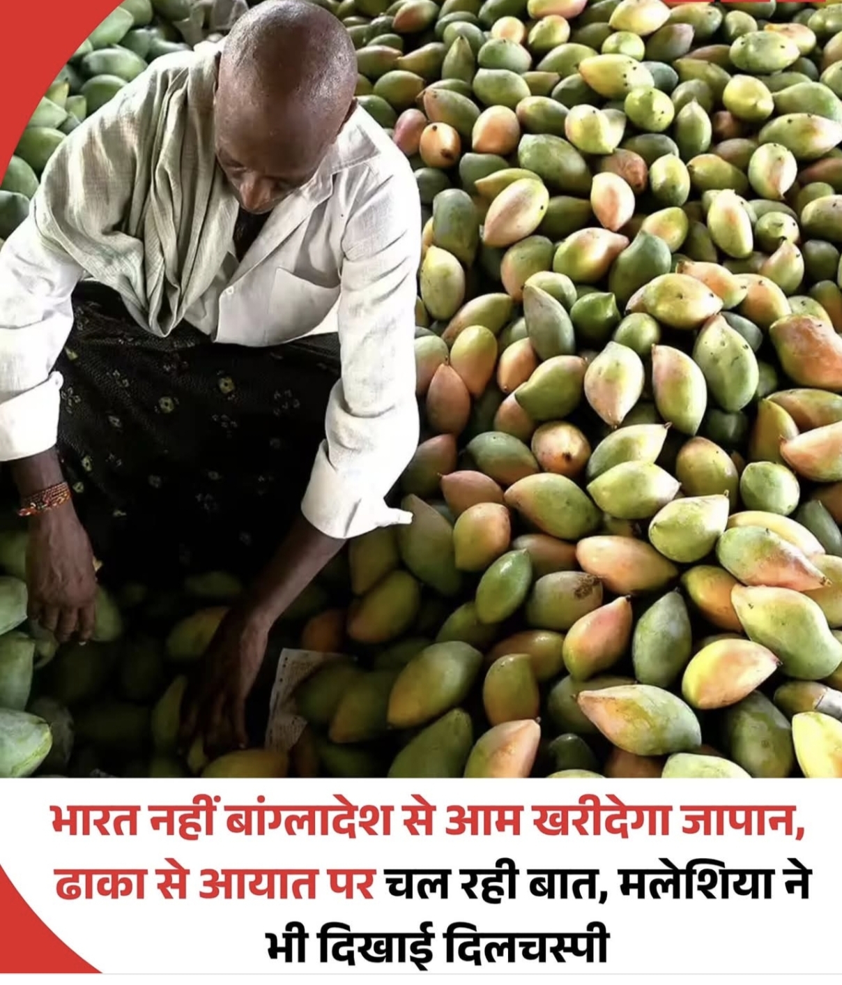 जापान बांग्लादेश से खरीदेगा आम भारत के आम किसानों को लगा झटका